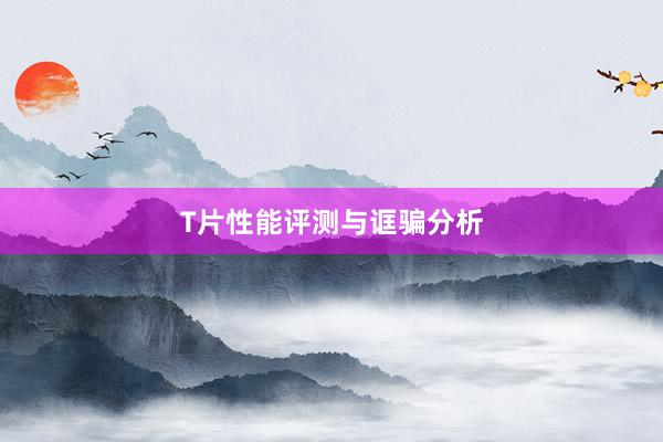 T片性能评测与诓骗分析