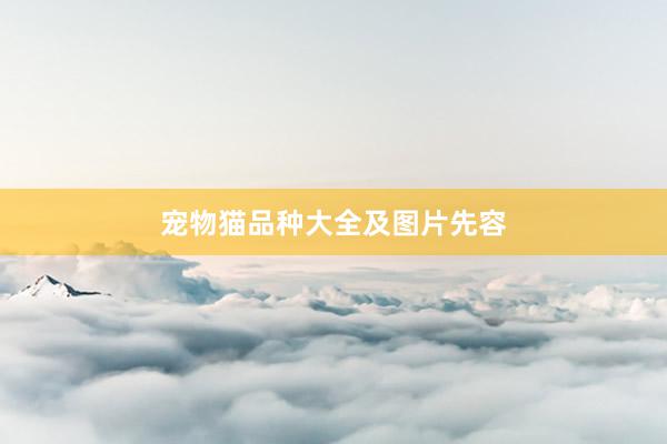 宠物猫品种大全及图片先容