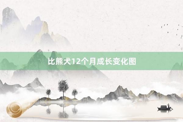 比熊犬12个月成长变化图